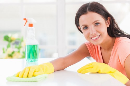 Carpet cleaning safety equipment prepared for use