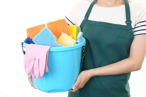 Carpet cleaning team in Harold Wood starting a professional service