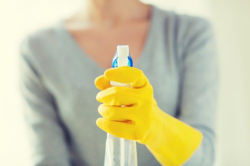 Ongoing accessibility review for carpet cleaning website