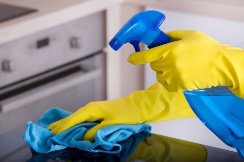 Cleaning different sofa materials including leather and velvet