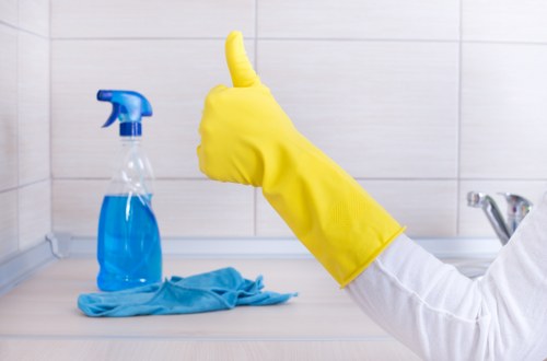 Common household and pet stains found in Harold Wood properties
