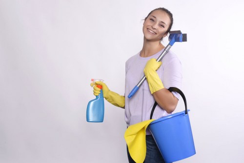 Sustainable carpet cleaning team in Harold Wood