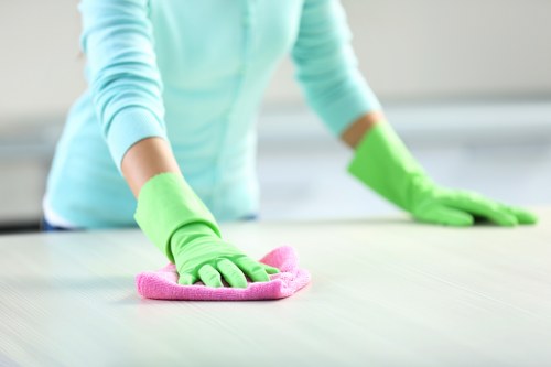 Professional carpet cleaning process with stain treatment and extraction