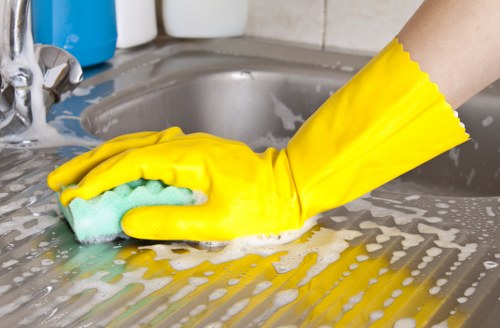 Inspection of carpet cleaning issue and service details