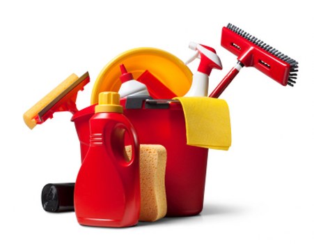 Professional carpet cleaner restoring a carpet’s appearance